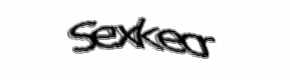 Security check image, please type the characters shown