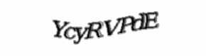 Security check image, please type the characters shown