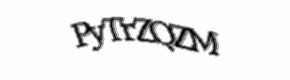 Security check image, please type the characters shown